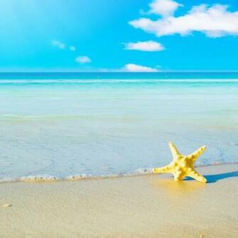 iPad Retina HD Wallpaper Beach And A Starfish Help For