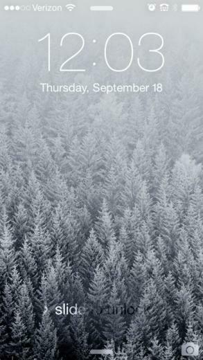 Winter In The Forest
