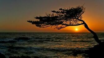 Sunset California Wallpaper