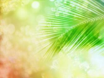 Wide Scene Wedding Background Royalty Stock Photography