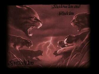 Warrior Cats Wallpaper Cat Fight