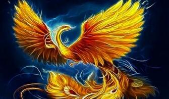 En Asie Le Ph Nix Est Une Monture Des Immortels Il L Embl Me