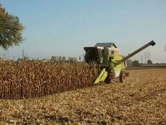 Agronomy 1080p 2k 4k 5k HD Wallpaper
