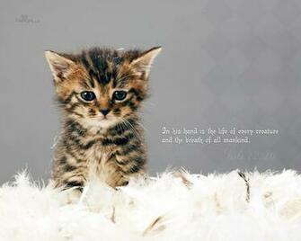 Christmas Cards Christian Desktop Wallpaper X