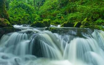 Golitha Falls Wallpaper