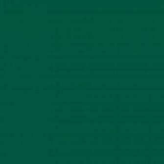 Sacramento State Green Solid Color Background