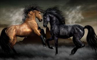 HD Horse Wallpaper