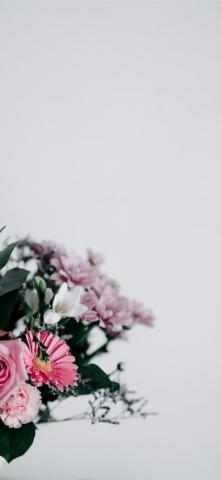 Best Negative Space iPhone X HD Wallpaper