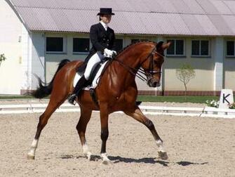 Dressage Wallpaper