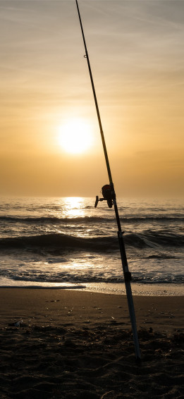 Best Fishing iPhone HD Wallpaper