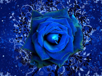 Dark Blue Rose Abstract Wallpaper