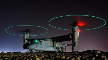 Daily Wallpaper V Osprey At Night I Like To Waste My Time