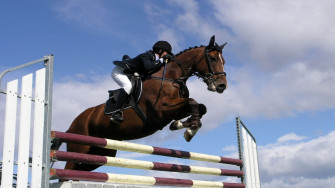 Equestrian Wallpaper