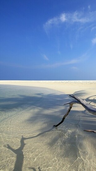 White Sands Beach The iPhone Wallpaper