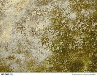 Earthy Background Stock Photo Megapixl