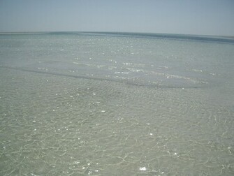 Cool Water Wallpaper