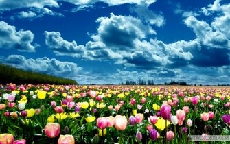 All About Italy Extremely Beautiful Wallpaper Noupe