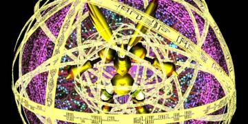 Mmd Newcomer Hurricane Rapidmon Dl By Valforwing
