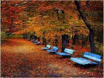 Fall Desktop Screensavers