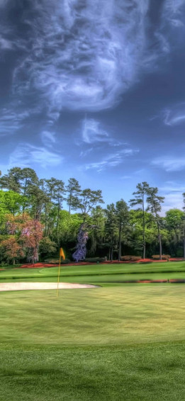 iPhone X Golf Course Background Wallpaper