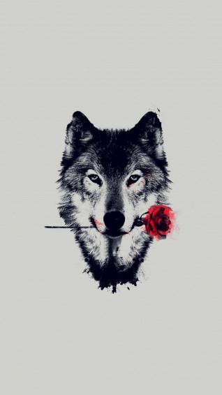 Wolf iPhone Wallpaper