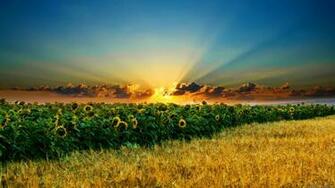 Best HD Wallpaper Widescreen Hq Background