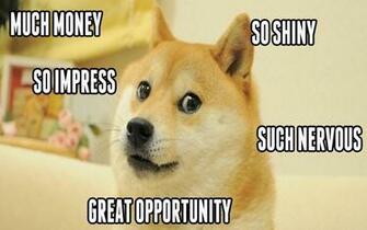 Doge Meme