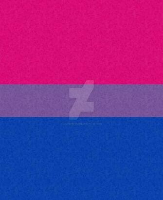 Large Bisexual Pride Flag Pink Purple And Blue Community