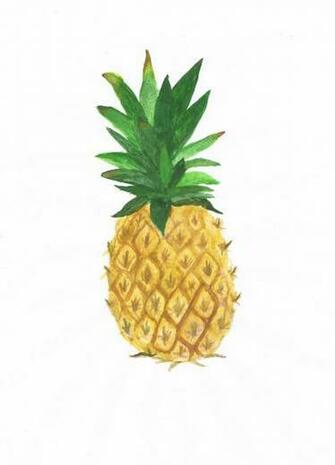 Pineapple Png