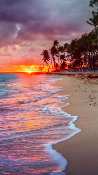 iPhone Beach Shore Sunset Wallpaper