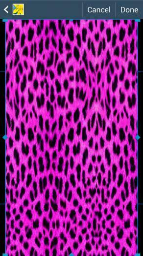 Animal Print Wallpaper Android Apps On Google Play