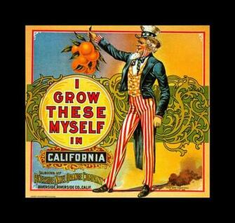 Sam California Vintage Fruit Crate Labels Wallpaper Image