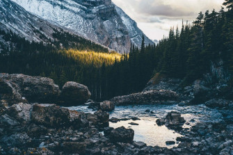Aesthetic Nature Wallpaper