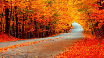 HD Autumn Wallpaper