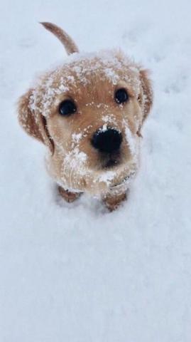 Ideas For Winter Wallpaper And Background Your