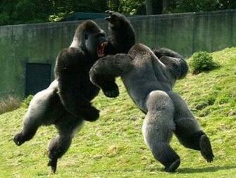 Most Badass Picture World Its Not Subjective It