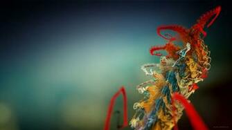 Micro Plant Wallpaper HD