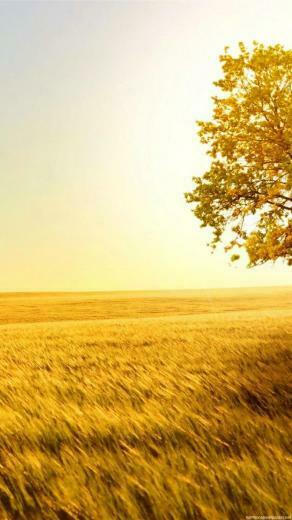 Cool Beautiful Nature iPhone Wallpaper HD