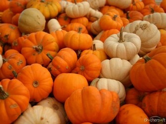 Wallpaper With Pumpkins Best HD