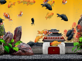 Gold Fish Pack