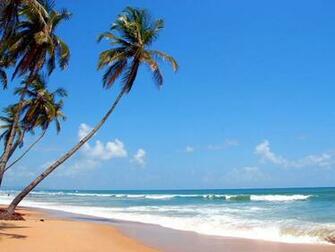 Beach Wallpaper Dgreetings