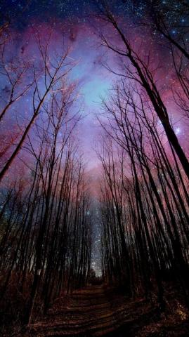 Beautiful Creepy Wallpaper On