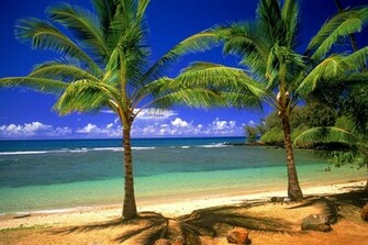 Peisaje Exotic Walpapere Imagini HD Gratis
