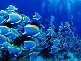 Underwater