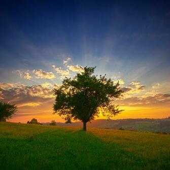 Beautiful Nature iPad Wallpaper