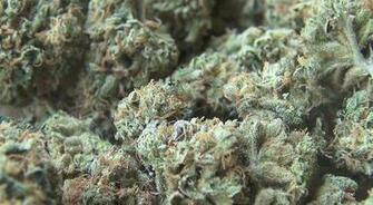 Og Kush Wallpaper Re Larry