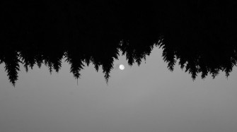Trees Nature Forest Moon Bw Minimal Wallpaper Dark