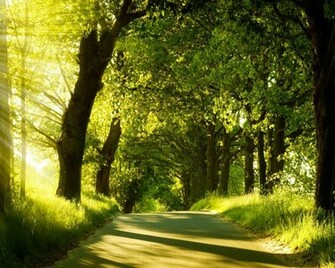 Wallpapertock Net Nature Html