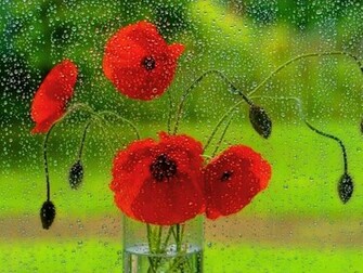Spring Rain Wallpaper