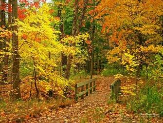 Fall Another River Scene Wallpaper Size Evening Rays
